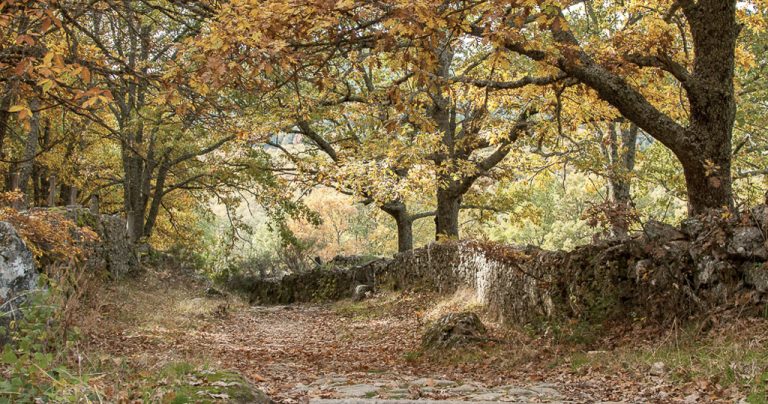 hospedium-hotel-la-fuente-puentenueva-2-768x404