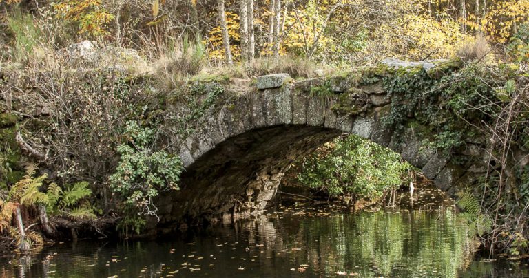 hospedium-hotel-la-fuente-puentenueva-3-768x404
